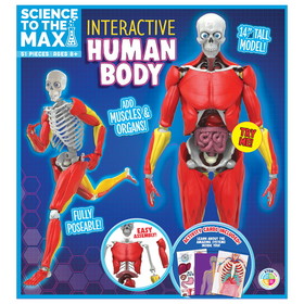 Science to the Max BAT2331 Interactive Human Body