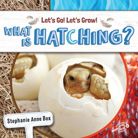 Rourke Educational Media CD-9781731652218 What Is Hatching