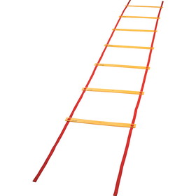 Champion Sports CHSAGLXX Economy Agility Ladder