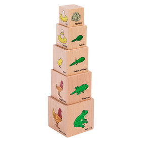 The Freckled Frog CTUFF466 Lifecycle Wooden Blocks Set Of 5