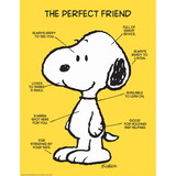 Eureka EU-837039 Peanuts The Perfect Friend 17X22, Poster