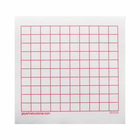 Geyer Instructional GYR151210 Graphng Post It Notes 10X10 Grid, 4 Pads 100 Sheets/Pad