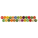 Hygloss Products HYG33631 Fruits And Veggies Border
