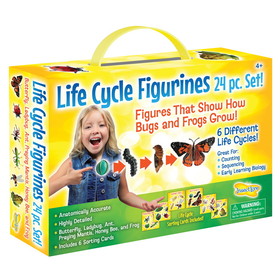 Insect Lore ILP2205 Life Cycle Figurines 24Pc Set