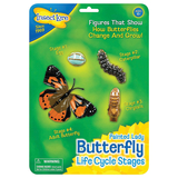 Insect Lore ILP4760 Butterfly Life Cycle Stages