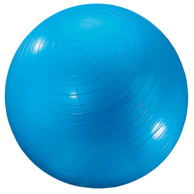 Dick Martin Sports MASGYM24 Exercise Ball 24In Blue