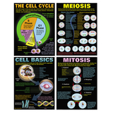 Mcdonald Publishing MC-P127 Cells Teaching Poster Set