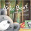 Reycraft Books NL-9781478868767 Little Koko Bear And His Socks, Price/Each
