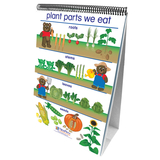 New Path Learning NP-340021 Flip Charts All About Plants Early - Childhood Science Readiness