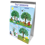 New Path Learning NP-340024 Flip Charts Weather & Sky Early - Childhood Science Readiness