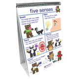 New Path Learning NP-340027 Flip Charts All About Me Early - Childhood Science Readiness