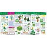 New Path Learning NP-943501 All About Plants Set Of 5