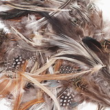 Creativity Street PACAC4514-3 Natural Feathers Assorted, Colors (3 PK)