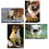 Poster Pals PSZPPS3 Fun Photo Posters Set #10 French, Price/Set