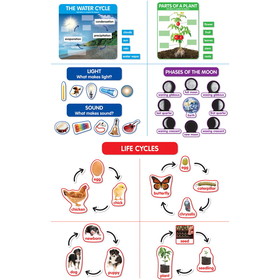 Scholastic Teacher Resources SC-862624 Bbs Early Science Concepts