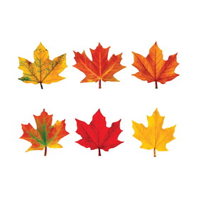 TREND T-10836 Classic Accents Maple Leaves Mini, Variety Pk-Discovery