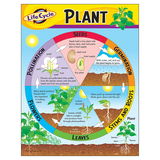 Trend Enterprises T-38179 Chart Life Cycle Of A Plant K-3