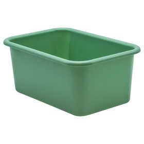 Teacher Created Resources TCR20396 Green Small Plastic Storage Bin