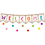 Teacher Created Resources TCR3608 Confetti Pennants Welcome Bbs
