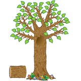 Teacher Created Resources TCR4405 Seasonal Tree Bb Set