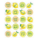 Teacher Created Resources TCR8484 Lemon Zest Stickers