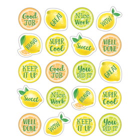 Teacher Created Resources TCR8484 Lemon Zest Stickers