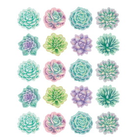 Teacher Created Resources TCR8554 Rustic Bloom Succulents Stickers