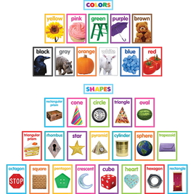 Teacher Created Resources TCR8799 Colorful Photo Shapes & Colrs Bb St