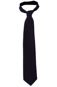 Edwards Garment SD00 Solid Color Tie