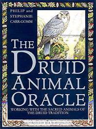 AzureGreen DDRUANI0BR Druid Animal Oracle deck