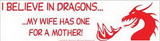 AzureGreen EBIBDR I Believe in Dragons