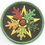 AzureGreen ESOAK Oak Leaf Pentagram iron-on patch 3"