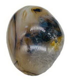 AzureGreen GPSAGAD  Agate, Dendritic palm stone