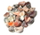AzureGreen GTAGABB 1 lb Agate, Botswana tumbled stones