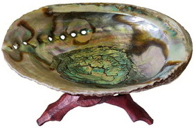 AzureGreen IBABAS 5"- 6" Abalone Shell incense burner with stand
