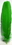 AzureGreen RFGRE Green feather
