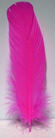 AzureGreen RFPIN10  (set of 10) Pink feather 12"