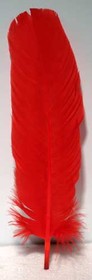 AzureGreen RFRED10  (set of 10) Red feather 12"