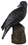 AzureGreen SR731 Raven back 6"