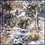 AzureGreen UENCFOR1 CD: Enchanted Forest