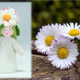 Eco Flower Fairies Common Daisy Fairy (standing felt doll, flower hat)
