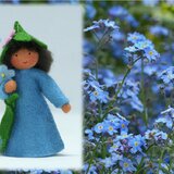 Eco Flower Fairies Forget-Me-Not Fairy (standing felt doll, holding flower)