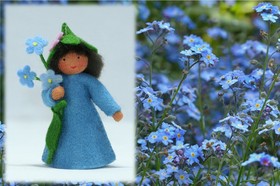 Eco Flower Fairies Forget-Me-Not Fairy (standing felt doll, holding flower)