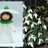 Eco Flower Fairies Snowdrop Fairy (standing felt doll, flower hat)