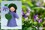 Eco Flower Fairies Sweet Violet Fairy (standing felt doll, holding flower)