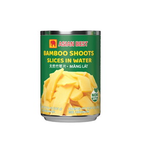 Asian Best Bamboo Shoot Sliced (20 OZ), Case of 24