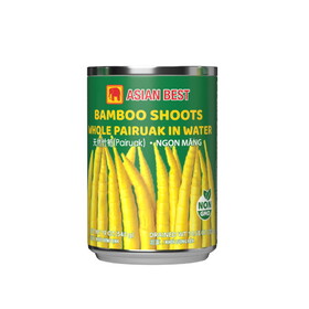 Asian Best Bamboo Shoot Whole (Pairuak) 19 OZ, Case of 24