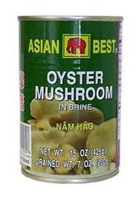 Asian Best Oyster Mushroom, 14 OZ, Case of 24