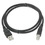 Ziotek 3ft. USB 2.0 Type A Male to Type B Male USB Cable, Black ZT1310981