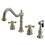 Elements of Design EB1799AXBS 8-Inch Widespread Kitchen Faucet with Brass Sprayer, Brushed Nickel/Polished Brass